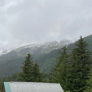 Meet your Posher, Elisabeth